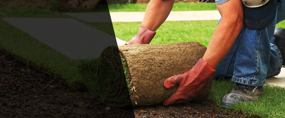 Branchland Landscapers